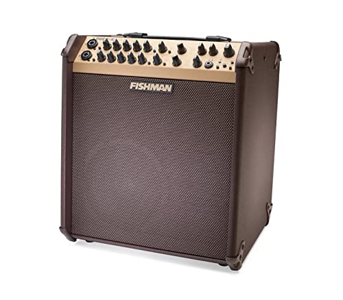 Amazon.com: Fishman Loudbox Performer 180-Watt Acoustic Guitar